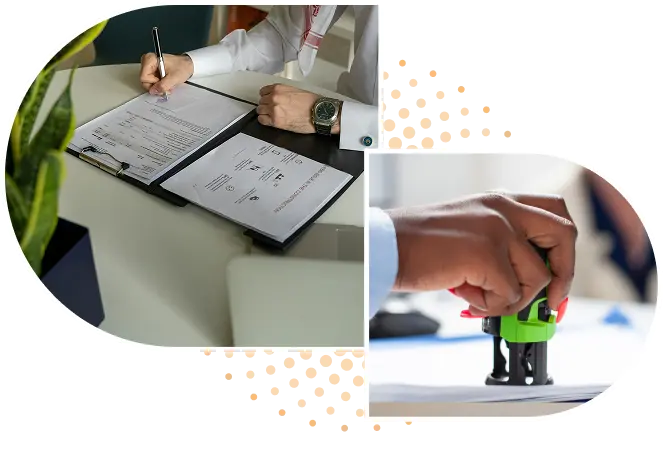 ثبت بین المللی